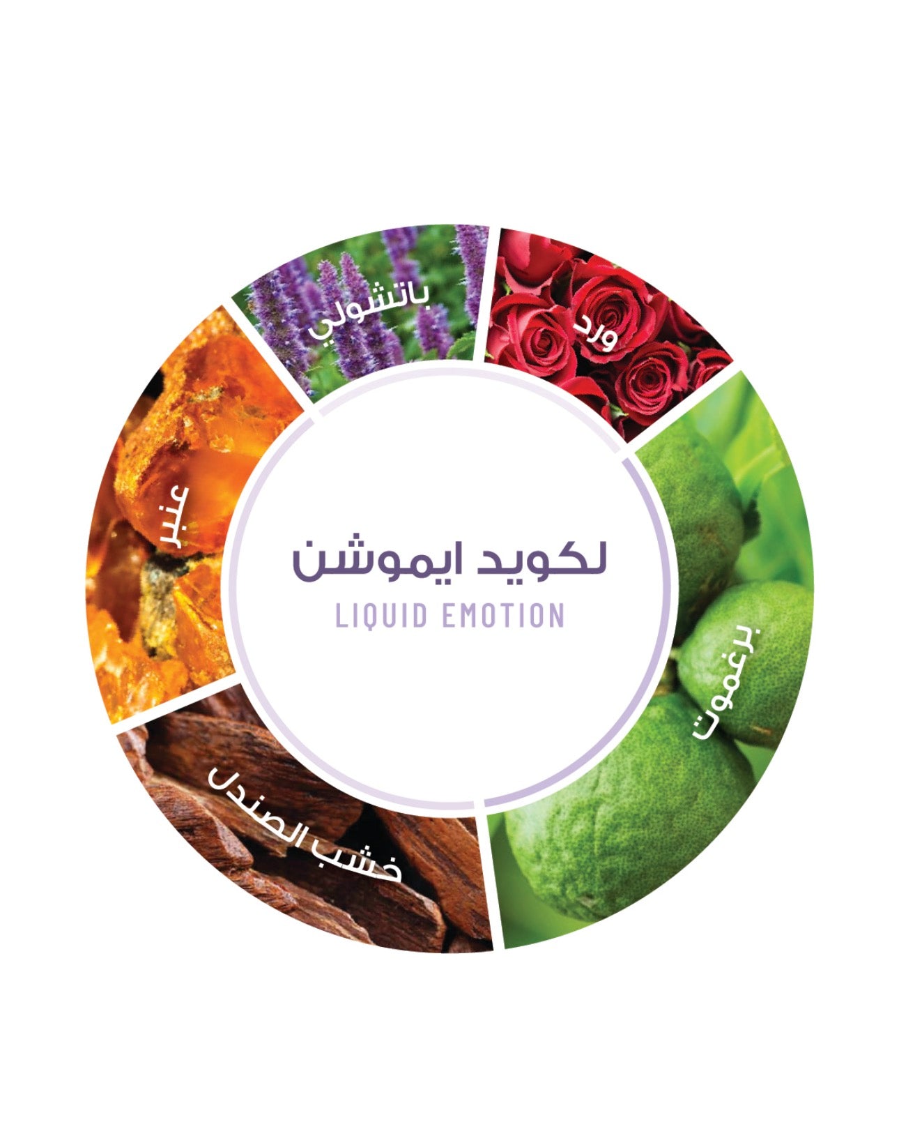 Jayla- All Over Spray (liquid emotion)