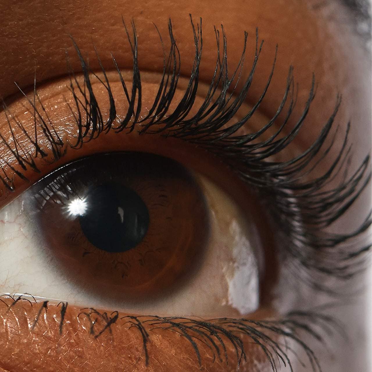 Refy- Lash Sculpt