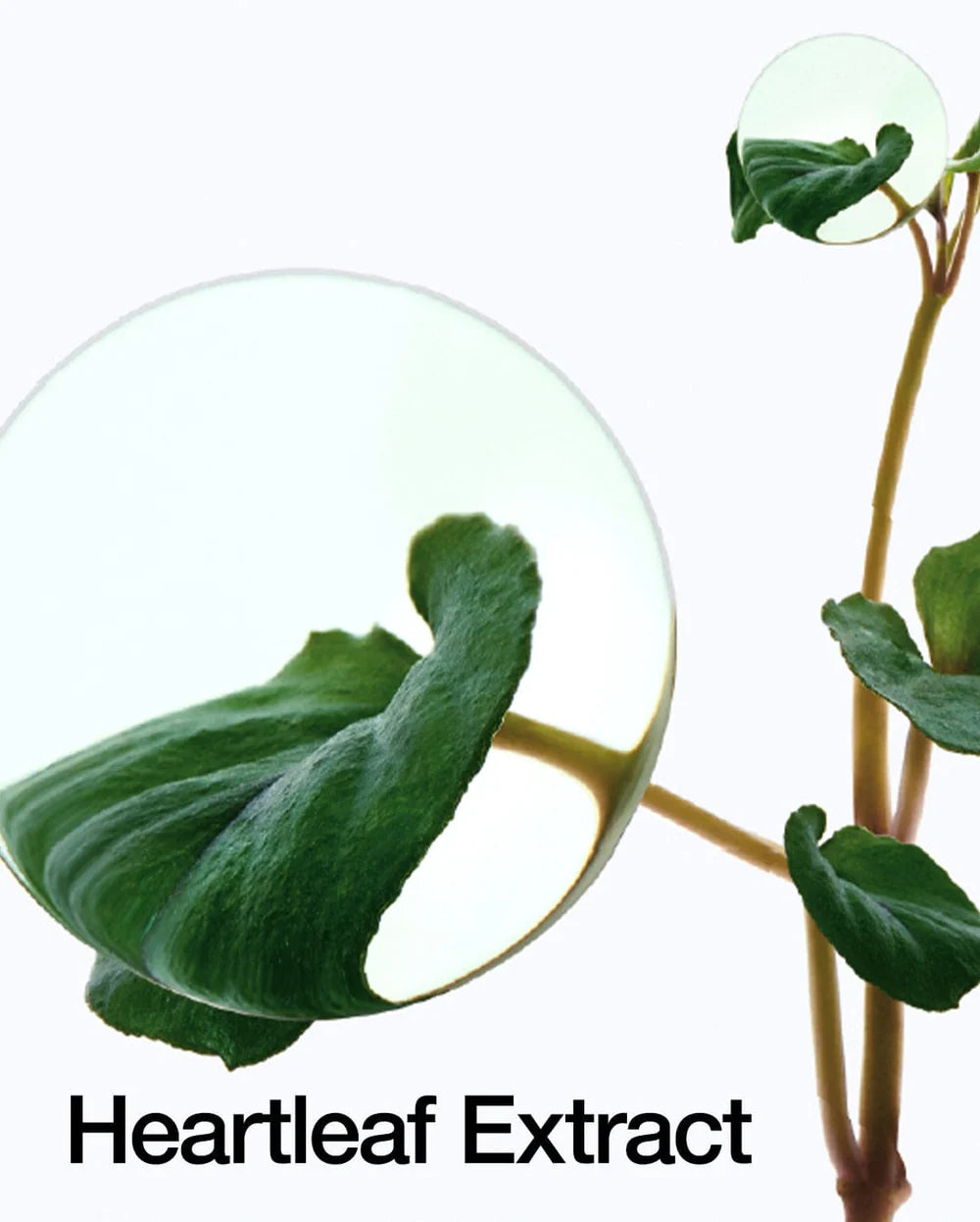 Anua- Oil Cleanser