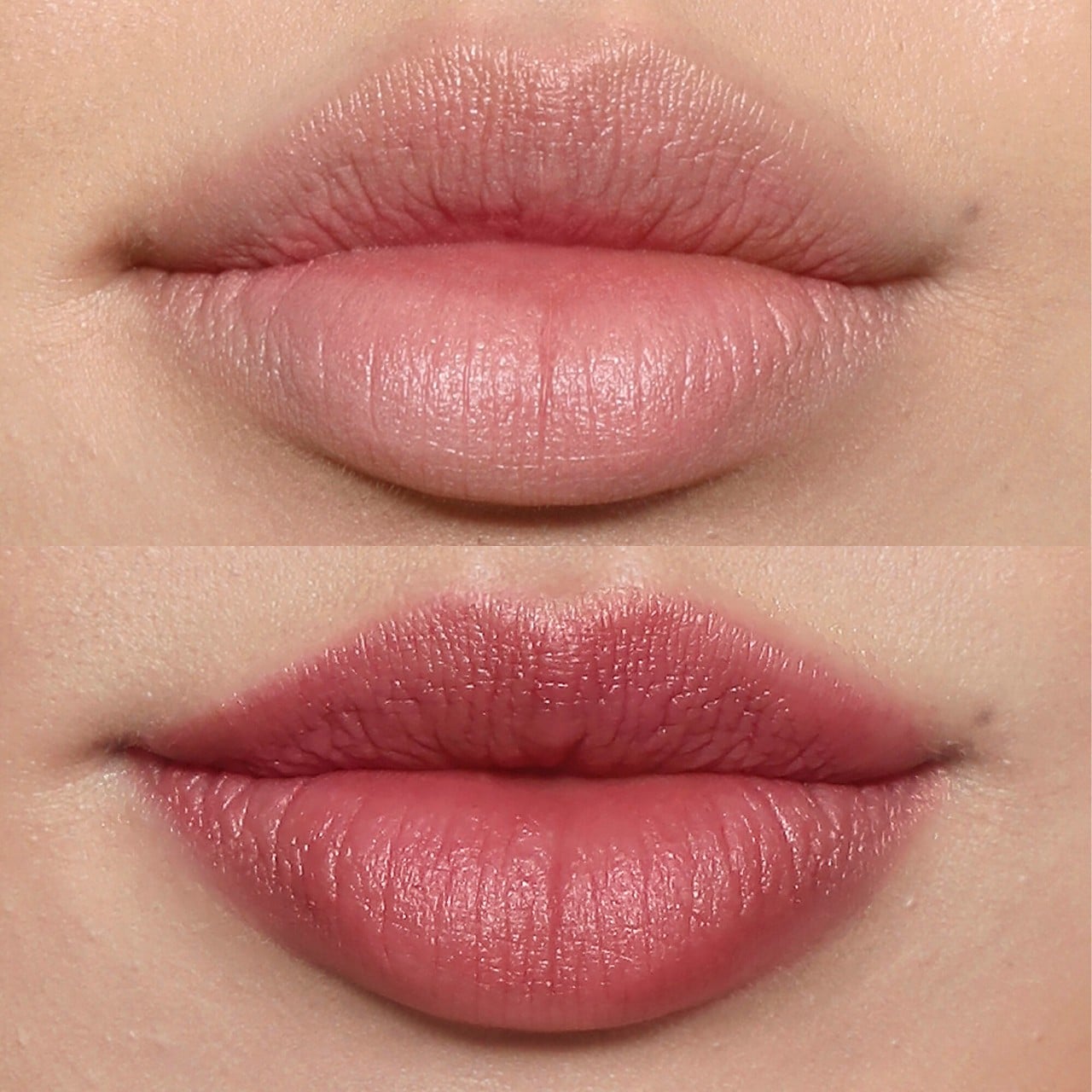 Lip Blush-Orchid